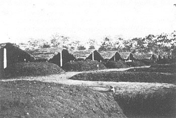 Organic matter composts in long mounds, some covered under thatch-roofed sheds at a tea estate in Dooars, India circa 1938. Image credit: J. C. Watson in An Agricultural Testament (1943).