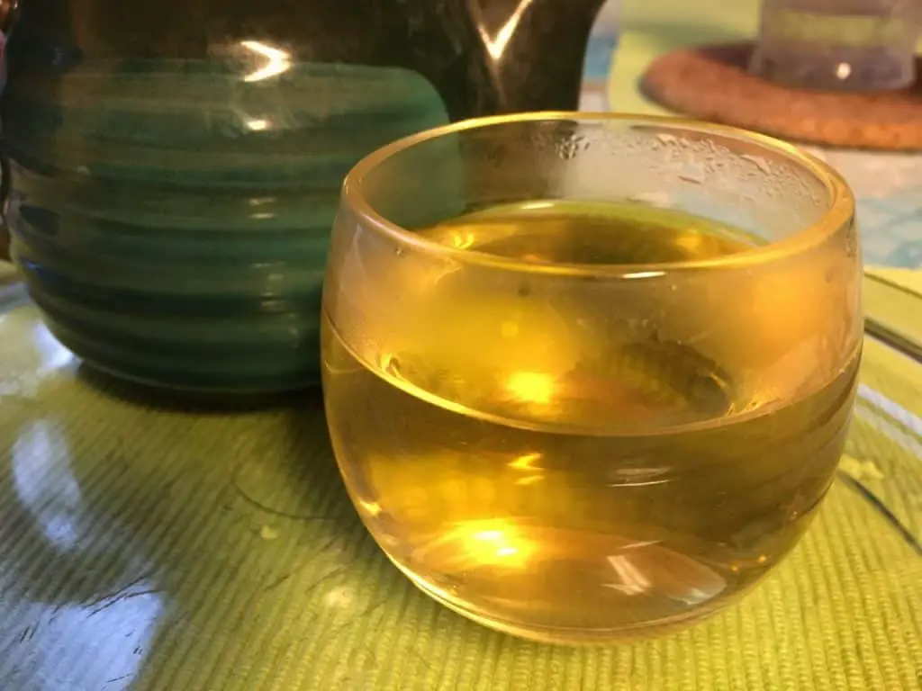 Growing tea green tea homemade