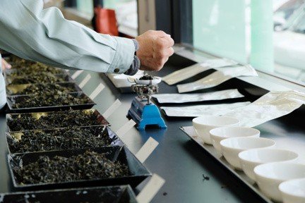 tea being sorted and graded by expert