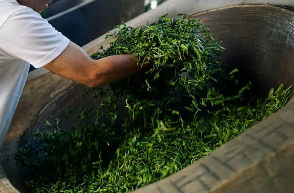tea leaf heated in a wok
