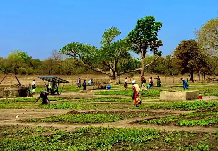 Solar-powered water pump array in Senegal