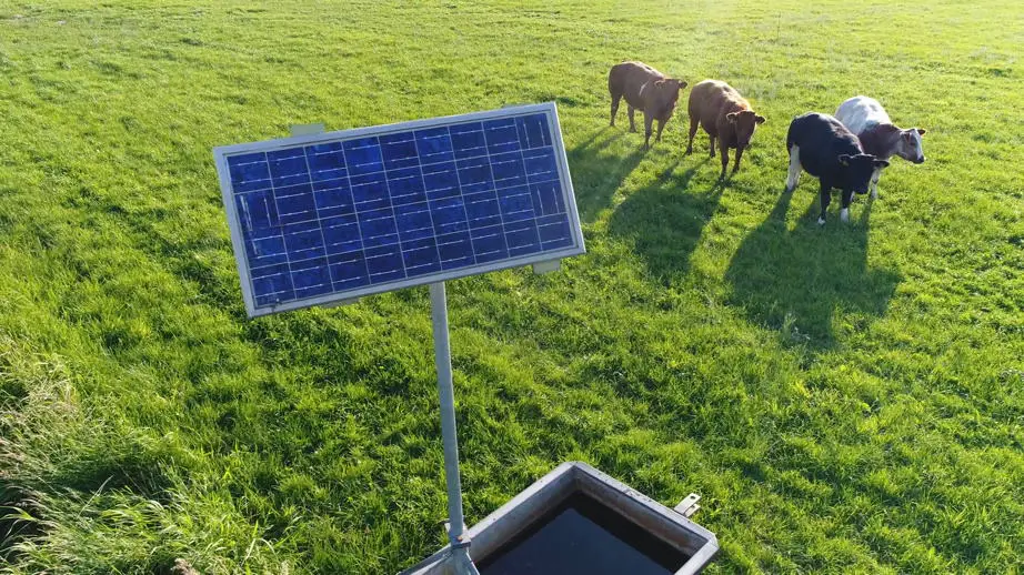 Solar powered pumps for cattle ranching