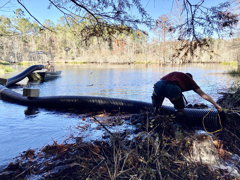 leveling a beaver dam pond with flexible pond leveler