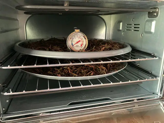 process of drying tea leaves