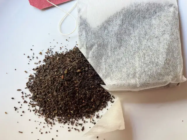 bagged tea vs loose-leaf tea